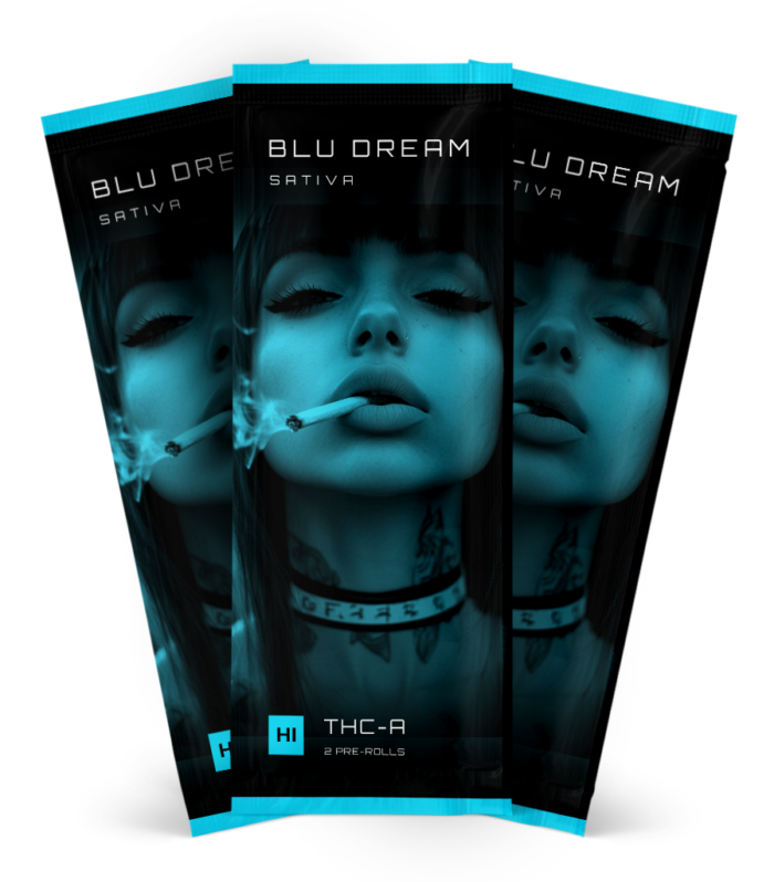 Bundle 3 2 Packs Blu Dream 1 1